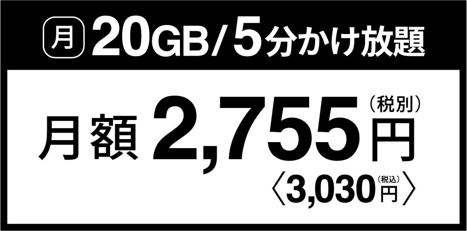 月20GB/5分かけ放題 月額2,755円(税別)＜3,030円(税込)＞